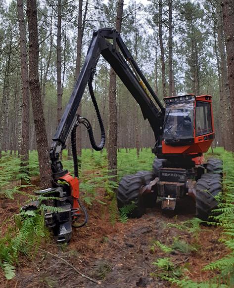 exploitation forestier près de Soustons 