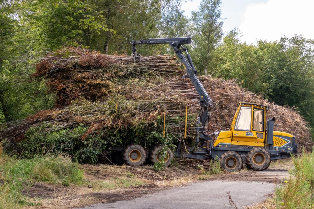 travaux forestier près de Soustons 