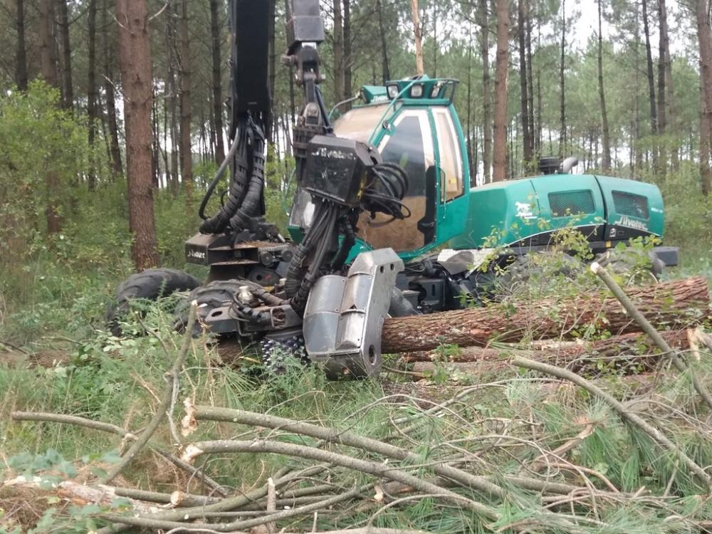 entreprise exploitation forestière près de Soustons 